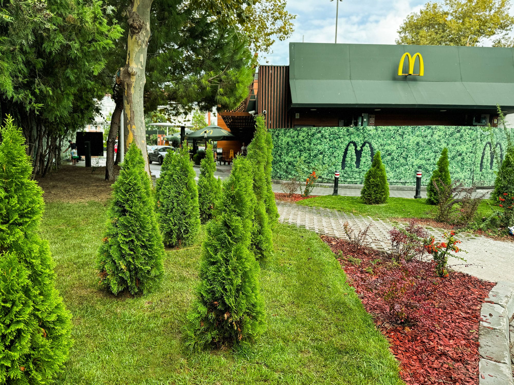 1–PSG-edit_0001_IMG_7397 1 PSG edit 0001 IMG 7397 | peisagistica