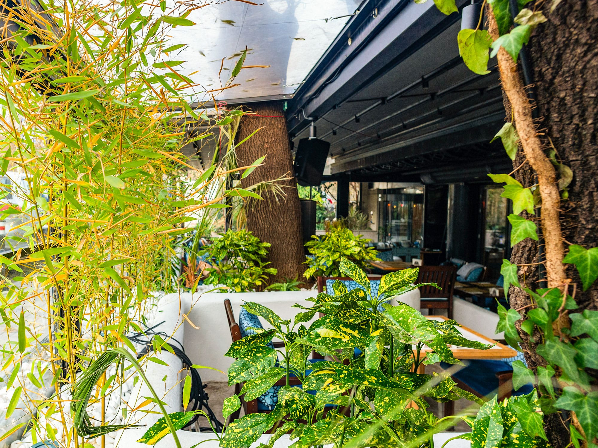 10–PSG-edit_0007_amenajare-restaurant-Divan-(19) 10 PSG edit 0007 amenajare restaurant Divan 19 | peisagistica