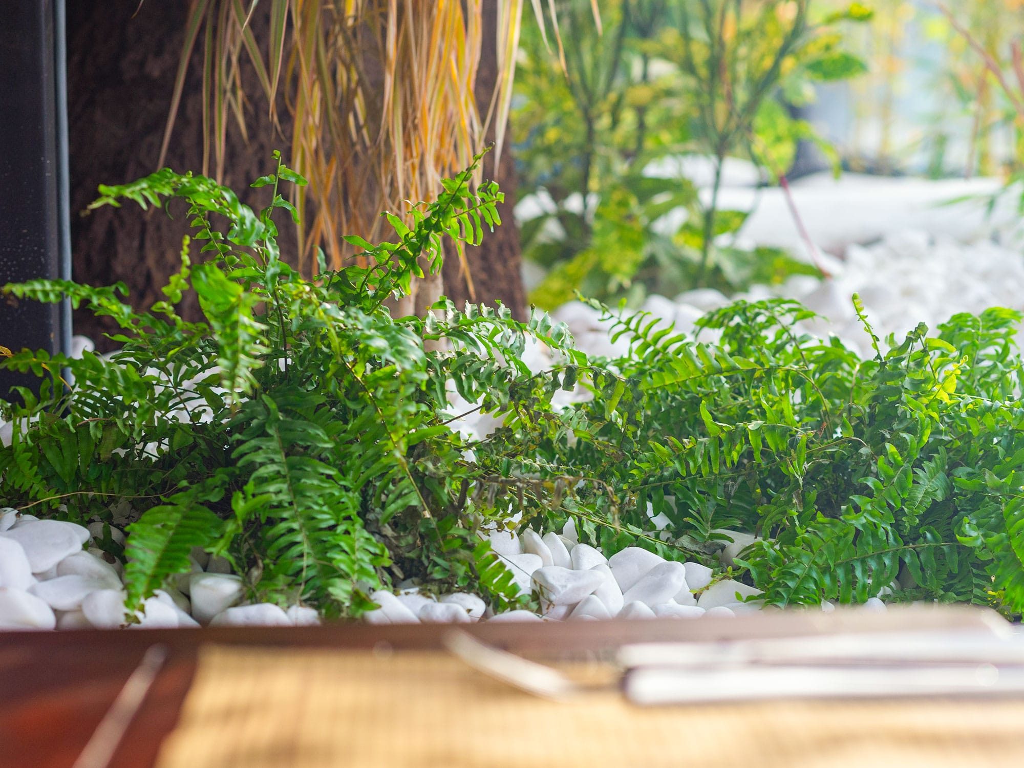 11–PSG-edit_0006_amenajare-restaurant-Divan-(23) 11 PSG edit 0006 amenajare restaurant Divan 23 | peisagistica