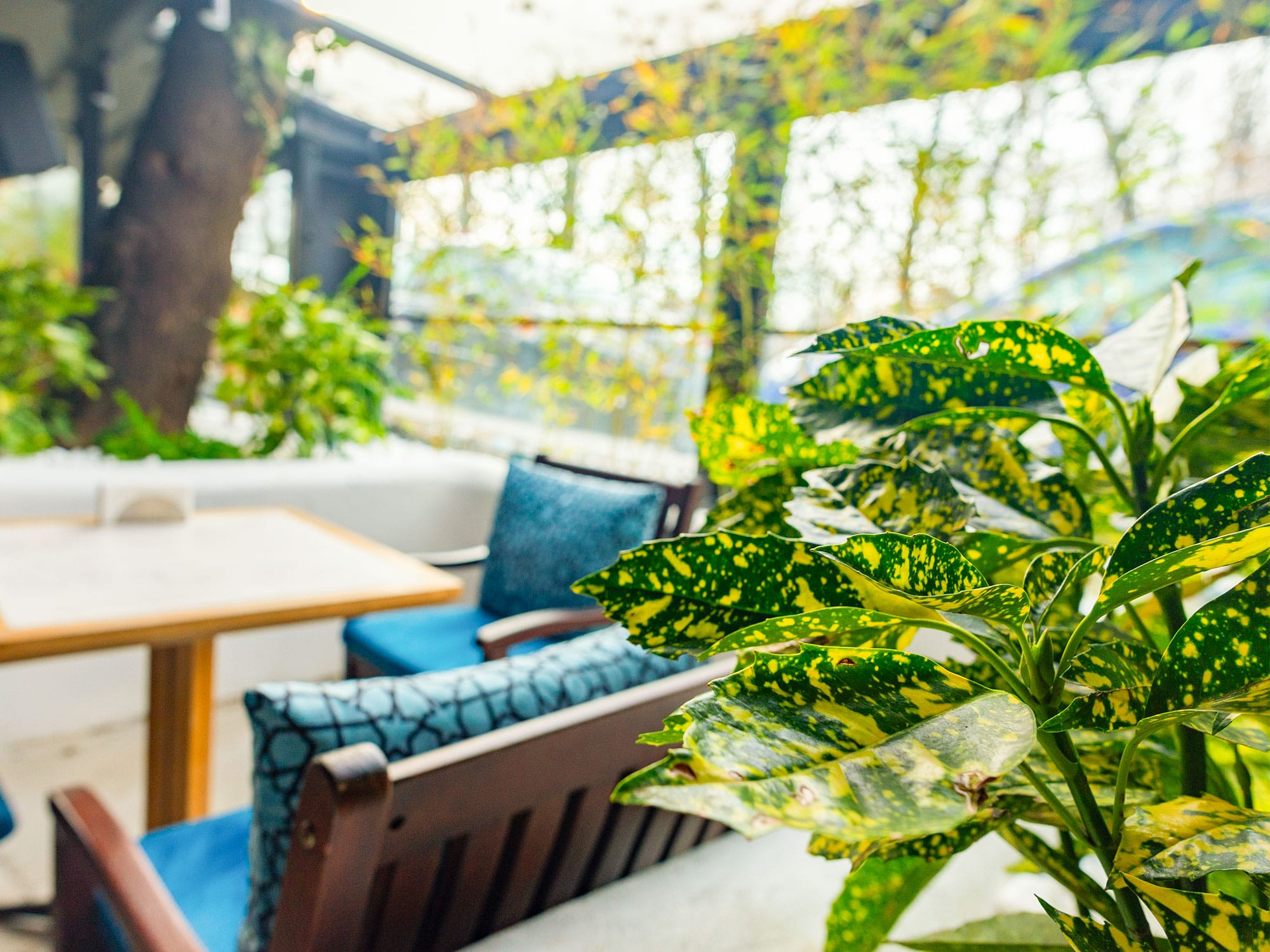 14–PSG-edit_0008_amenajare-restaurant-Divan-(14) 14 PSG edit 0008 amenajare restaurant Divan 14 | peisagistica