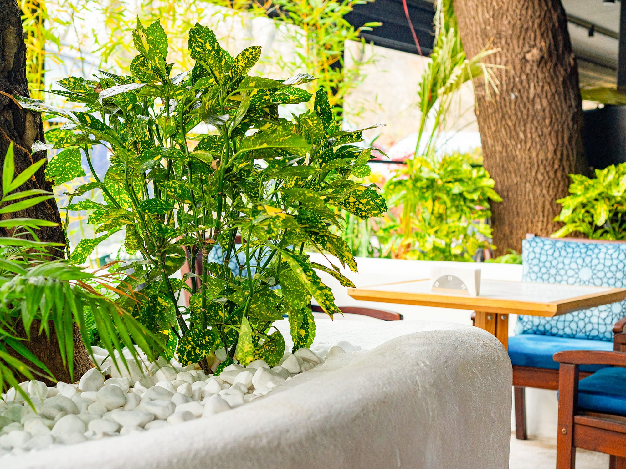 15–PSG-edit_0010_amenajare-restaurant-Divan-(7) 15 PSG edit 0010 amenajare restaurant Divan 7 | peisagistica