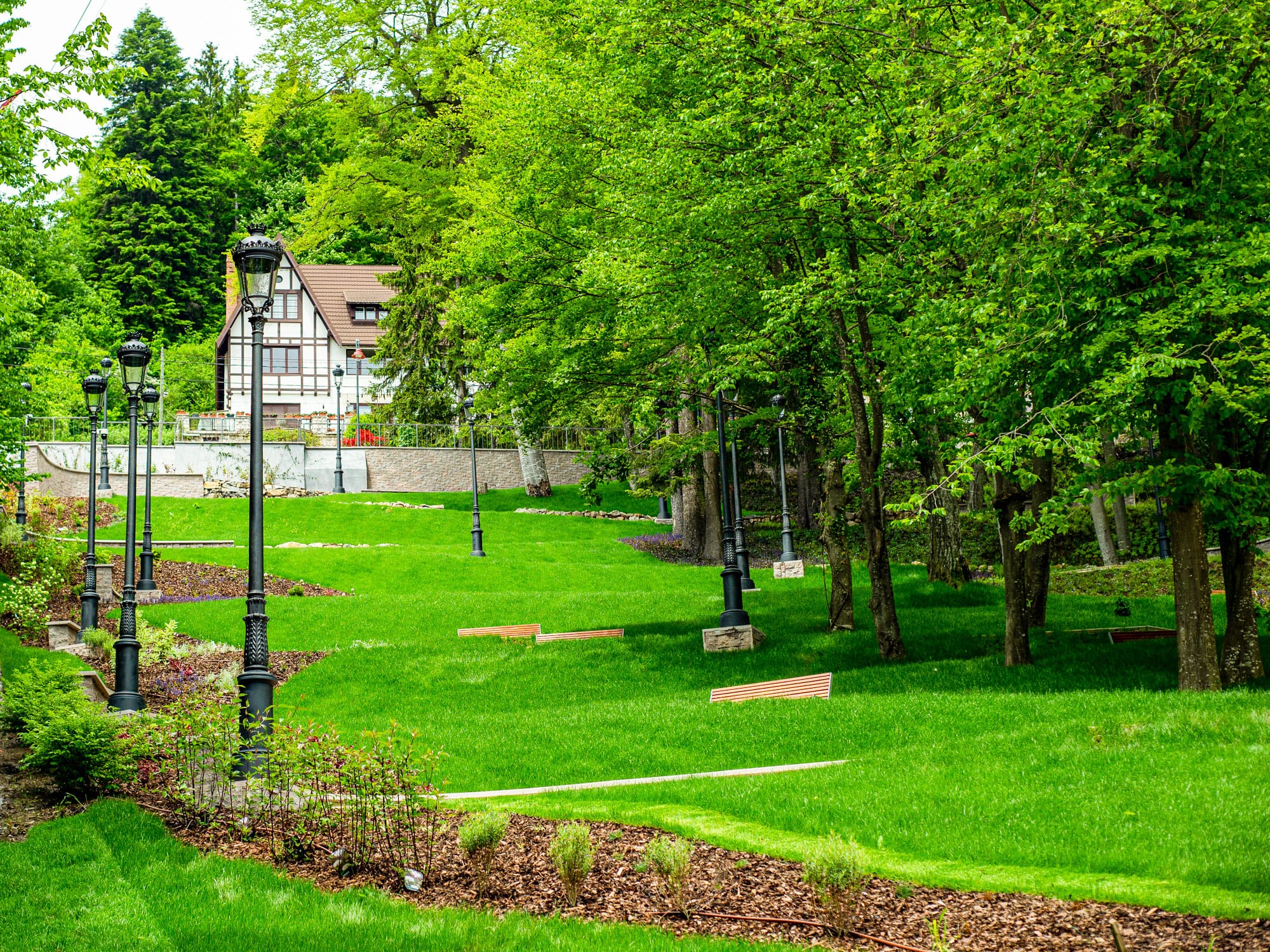 5–PSG-edit_0015_Layer-0 5 PSG edit 0015 Layer 0 | peisagistica