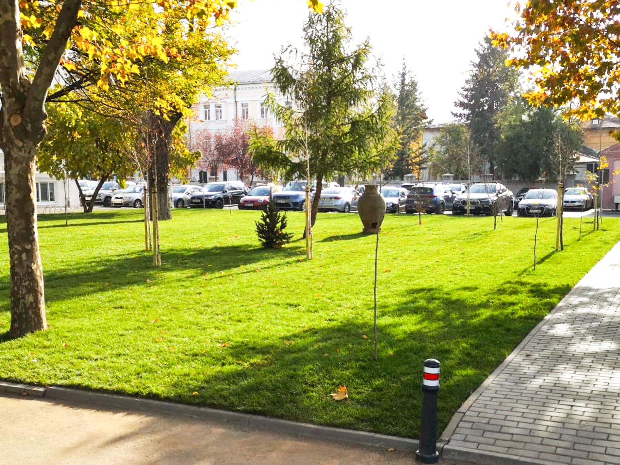 9–PSG-edit_0005_amenajare-Spitalul-Militar 9 PSG edit 0005 amenajare Spitalul Militar | peisagistica