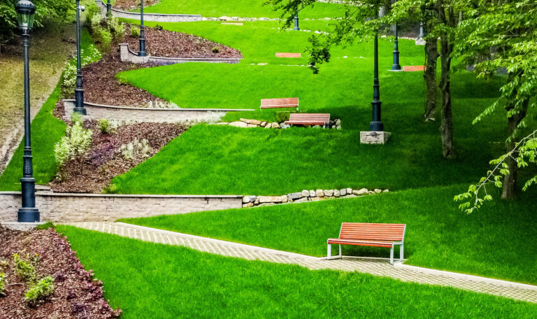 6 PSG edit 0011 amenajare parc Sinaia 16 - Peisagistica