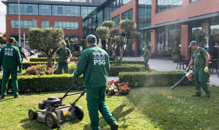 Intretinere spatii verzi
