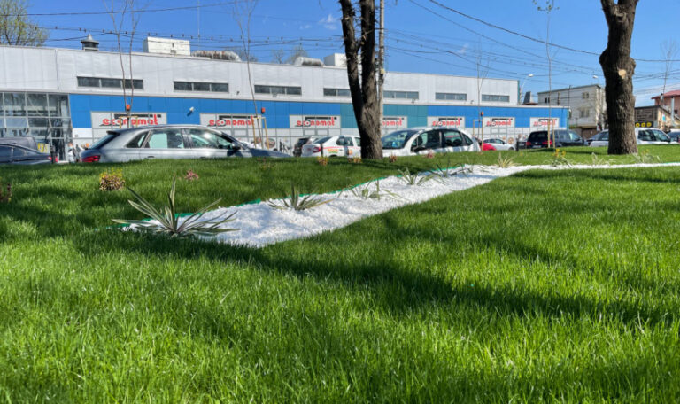Reabilitare Parc „Ferentari Mic" București